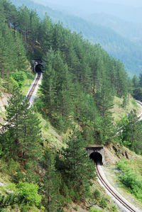 High angle view of road amidst trees in forest