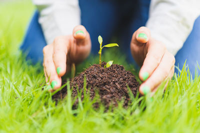 Close-up of hands holding plant on field