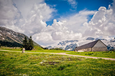 Scenic view of field against sky