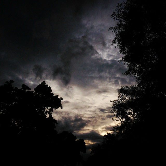 tree, sky, silhouette, cloud - sky, tranquility, low angle view, beauty in nature, tranquil scene, cloudy, scenics, nature, cloud, growth, dusk, outdoors, overcast, no people, idyllic, sunset, branch