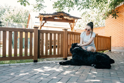 Young woman playing with giant schnauzer in the backyard. the owner training his dog pet in summer 