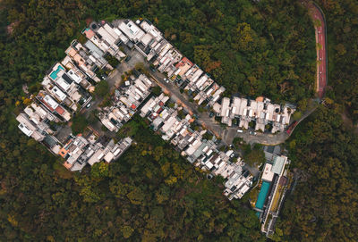 High angle view of trees and houses in city