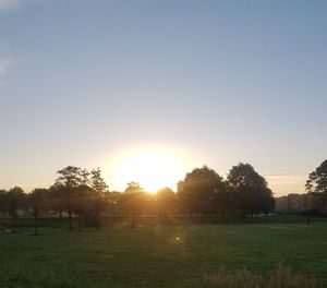 Scenic view of field against clear sky during sunset