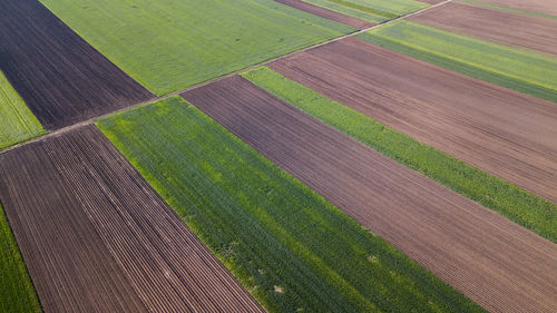 Full frame shot of farm