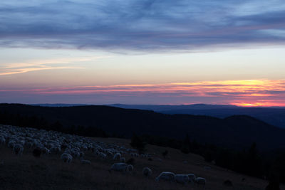 Scenic view of landscape against sky during sunset