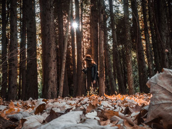 Woman standing by tree trunks in forest