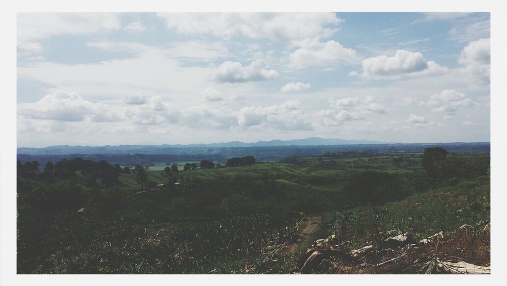 sky, transfer print, landscape, tranquil scene, tranquility, scenics, beauty in nature, cloud - sky, field, nature, auto post production filter, cloud, grass, horizon over land, cloudy, rural scene, day, green color, non-urban scene, idyllic