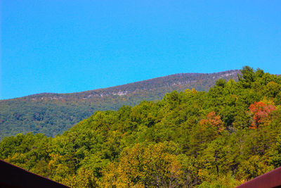 Scenic view of tree mountains against clear blue sky