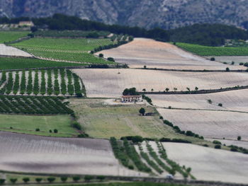 View with filter effect model, tilt shift, of the fields near fontanars dels aforins, valencia 