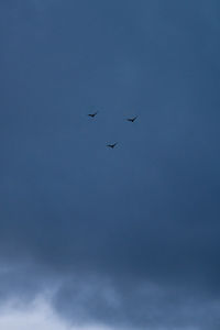 Low angle view of birds flying in sky