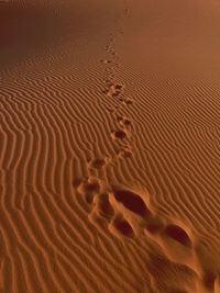 High angle view of footprints on sand