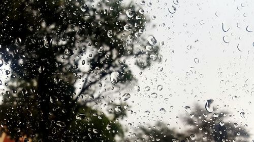 Full frame shot of raindrops on window