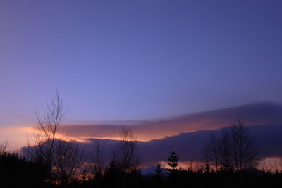Silhouette bare trees against sky during sunset