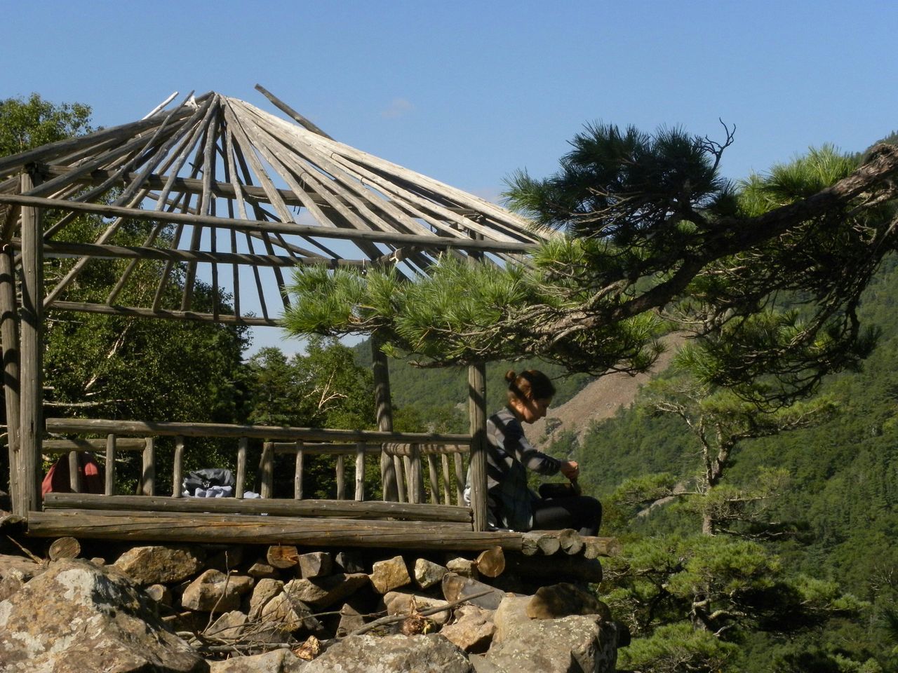 clear sky, tree, mountain, sunlight, lifestyles, sky, nature, built structure, day, leisure activity, men, rock - object, blue, outdoors, growth, low angle view, railing, architecture