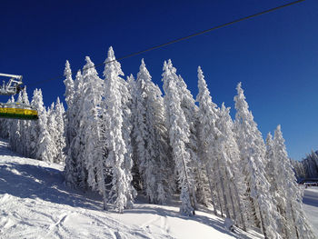 Snow covered plants against clear blue sky at schladming in austria 