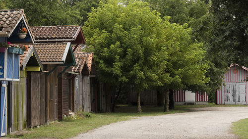 Trees and plants outside building