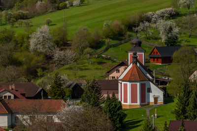 Houses by trees and buildings