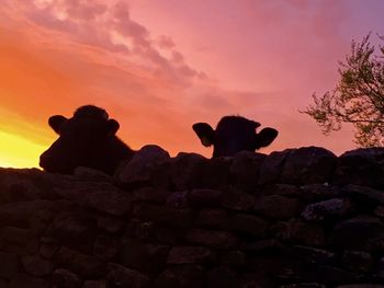 Silhouette rocks on rock against sky during sunset