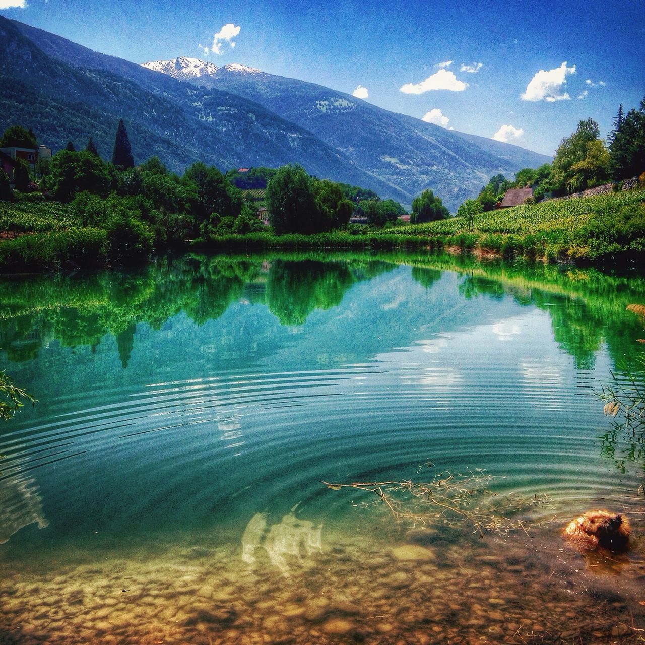 water, tranquil scene, tranquility, reflection, scenics, lake, beauty in nature, mountain, sky, nature, tree, idyllic, landscape, non-urban scene, standing water, cloud - sky, waterfront, blue, day, cloud