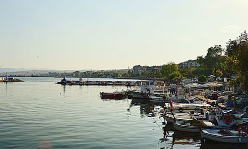 Boats moored at harbor