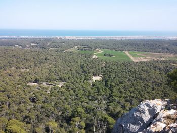 High angle view of trees on landscape against sky