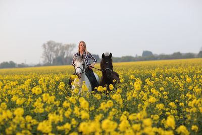 Portrait of woman with horses amidst yellow flowers on oilseed rape field