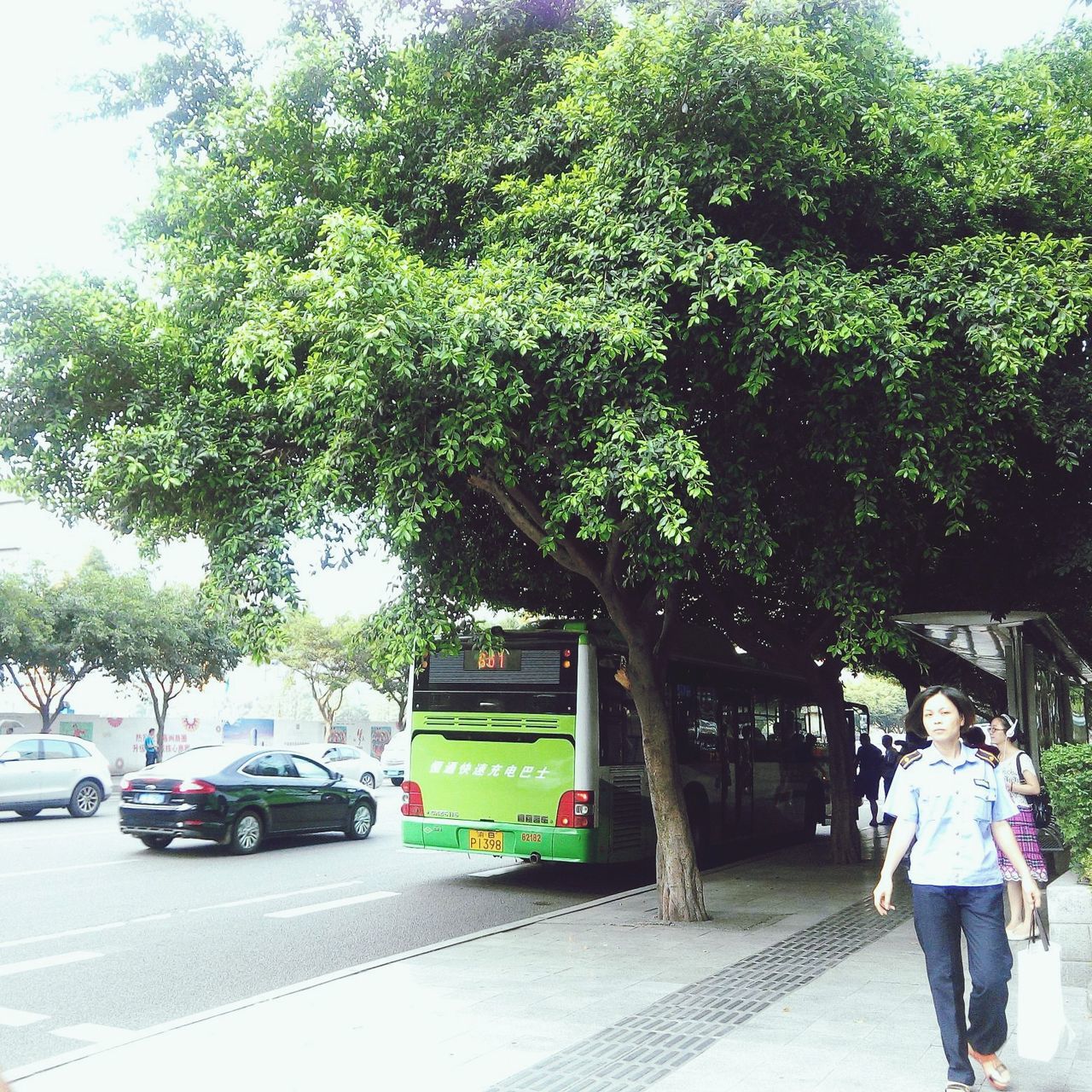 transportation, tree, car, land vehicle, mode of transport, lifestyles, men, street, rear view, person, leisure activity, walking, road, on the move, casual clothing, full length, day, city life