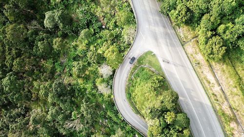 High angle view of road amidst trees in forest