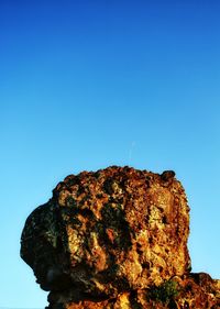 Low angle view of bird against clear blue sky