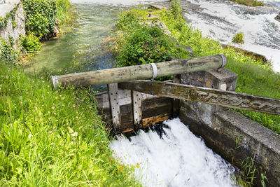 High angle view of plants by river