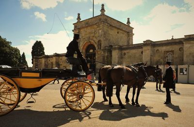 Horse cart on street against sky