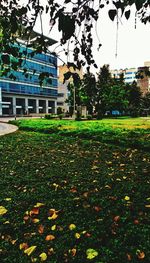 Lawn by building against sky