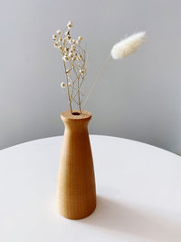 Close-up of white flowers in vase