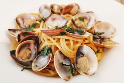 High angle view of seafood in plate