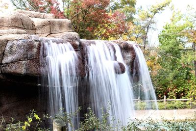 Scenic view of waterfall