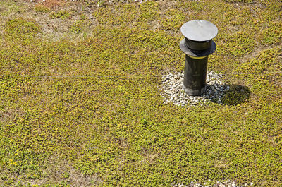 High angle view of plants growing on field