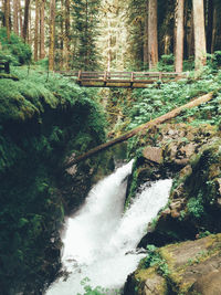 Scenic view of waterfall amidst trees in forest