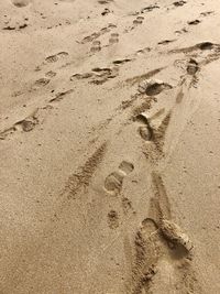 High angle view of footprints on sand