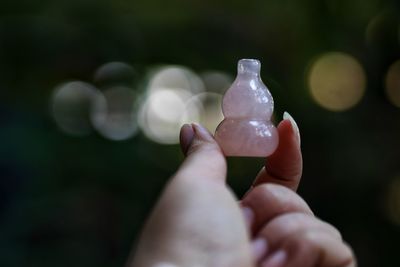 Cropped hand of person holding bottle