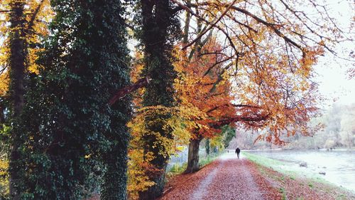 Footpath in autumn