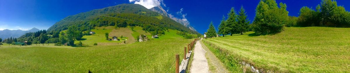 Panoramic shot of green landscape