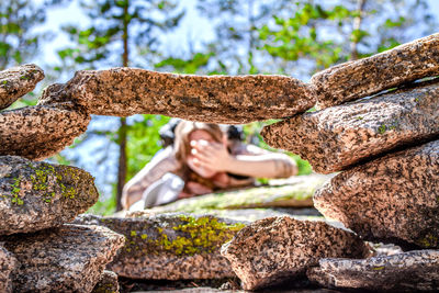 Close-up of tree trunk