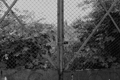 Full frame shot of chainlink fence