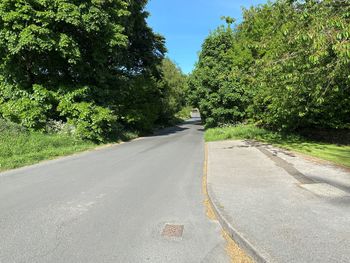 View along, long lane, with old trees, wild plants, and a blue sky near, bradford, yorkshire, uk