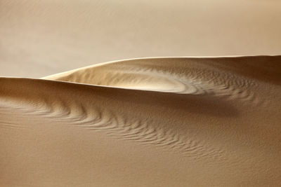 Natural pattern of the sand dune in the desert in abu dhabi. closeup abstract texture.