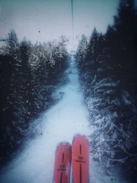 Scenic view of snow covered landscape