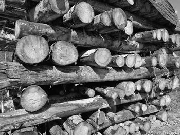 Stack of logs