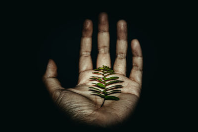 Close-up of human hand against black background