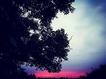 Low angle view of silhouette tree against sky at sunset