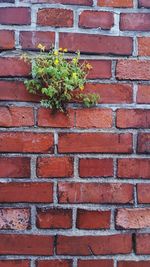 Full frame shot of brick wall